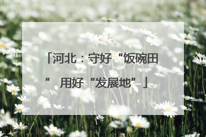 河北：守好“饭碗田” 用好“发展地”